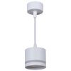 Светильник подвесной Reluce 53001-0.9-001LD GX53 WT