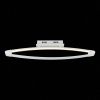 Светильник потолочный ST Luce SL920 SL920.102.01