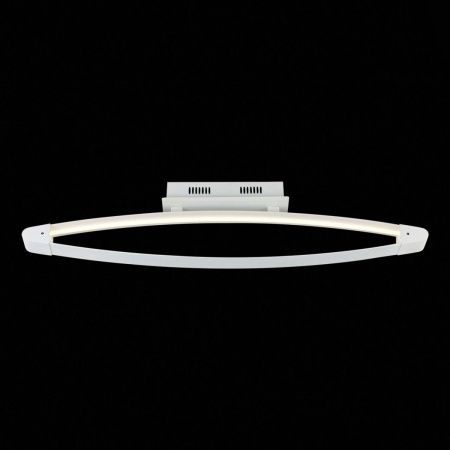 Светильник потолочный ST Luce SL920 SL920.102.01