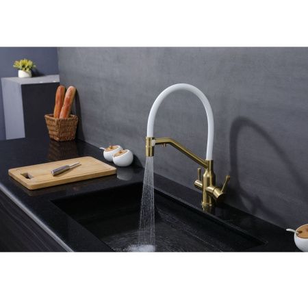 Смеситель для кухни Raglo R81 R81.62.03 на мойку золото