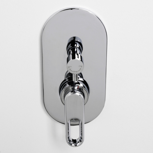 Смеситель для ванны и душа WasserKRAFT Kammel 1800 1841 встраиваемый хром - фото 2