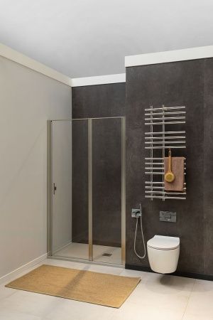 Душевая дверь Allen Brau Priority 3.31029.BA 100х200 стекло прозрачное профиль серебро