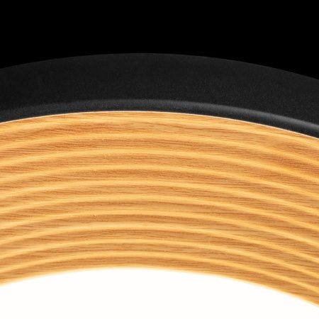 Светильник потолочный Loft It Folk 10255/500 Black