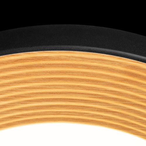 Светильник потолочный Loft It Folk 10255/500 Black - фото 5