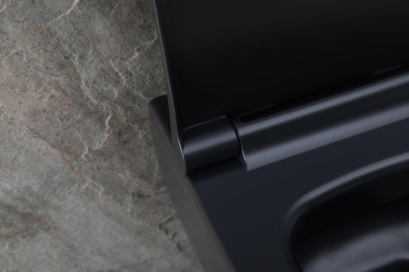 Чаша унитаза подвесная Allen Brau Priority 4.31001.31 цвет черный матовый без сиденья безободковая каскадный смыв