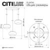 Светильник подвесной Citilux Signature (Сигнатуре) CL247012