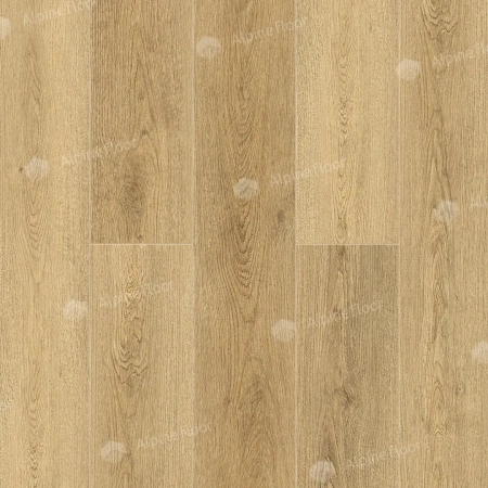 SPC ламинат Alpine Floor Grand Sequoia ECO 11-31 MC Сьерра толщина 0.4 см 43 класс 1220х183