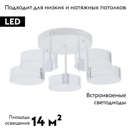 Люстра потолочная Myfar Vinsent (Винсент) MR1871-5CL