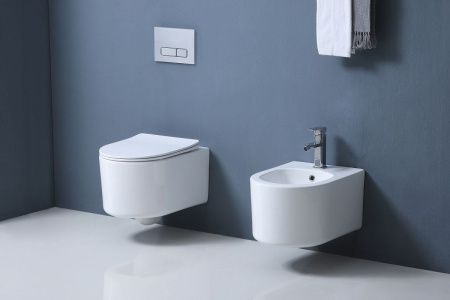 Биде подвесное Aquatek МИЯ AQ1004-00 цвет белый