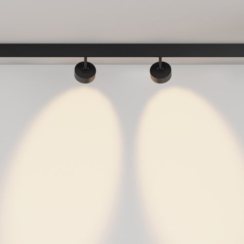 Светильник трековый Maytoni Technical Lens TR217-2-15W3K-B - фото 4