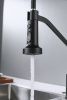 Смеситель для кухни Shevanik S963H на мойку черный