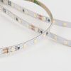 Светодиодная лента Elektrostandard 2116 24V 120Led 8W 4690389176685