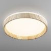Светильник потолочный музыкальный Citilux Enzo (Ензо) CL753352G