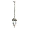 Уличный подвесной светильник Arte Lamp Pegasus (Пегасус) A3151SO-1WG