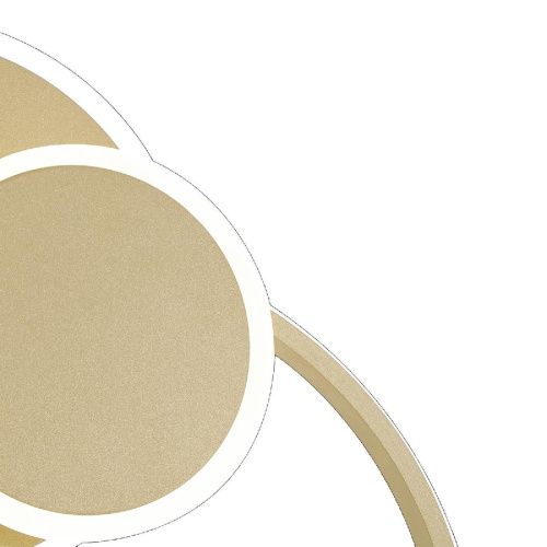 Люстра потолочная Natali Kovaltseva LED LAMPS (ЛЕД ЛАМПС) LED LAMPS 81306 - фото 2