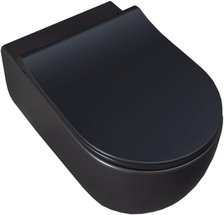 Чаша унитаза подвесная Allen Brau Priority 4.31001.31 цвет черный матовый без сиденья безободковая каскадный смыв