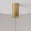 Светильник подвесной Wertmark Technical Ray Pendant P022PL-L20G3K