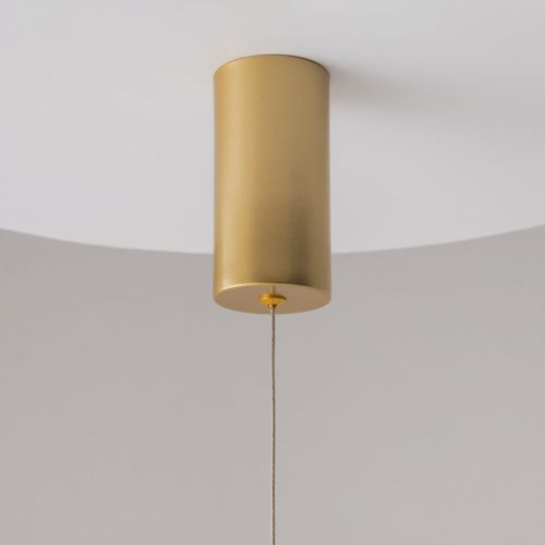 Светильник подвесной Wertmark Technical Ray Pendant P022PL-L20G3K - фото 5