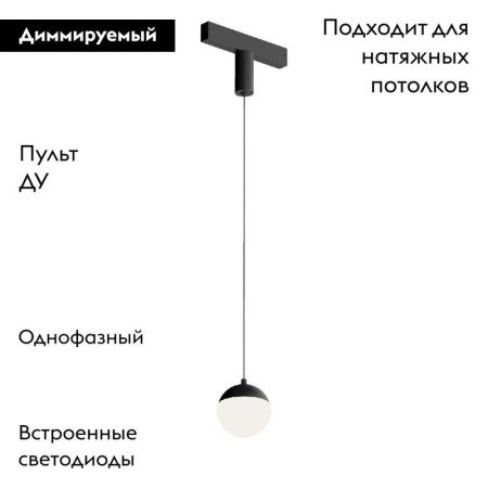 Трековый однофазный светильник Denkirs Smart Moon (Смарт Моон) DK8056-BK