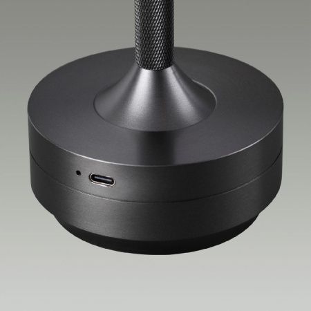 Настольная лампа Odeon Light Tet-a-tet (Тет-а-тет) 5034/6TL
