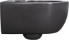Чаша унитаза подвесная Allen Brau Priority 4.31001.AN цвет черный без сиденья безободковая каскадный смыв