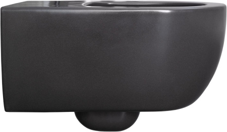 Чаша унитаза подвесная Allen Brau Priority 4.31001.AN цвет черный без сиденья безободковая каскадный смыв