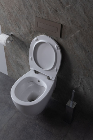 Чаша унитаза подвесная Allen Brau Fantasy 4.11HC1.20 цвет белый без сиденья безободковая каскадный смыв