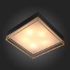 Люстра потолочная ST Luce CHODO (ЦХОДО) SL1127.422.05