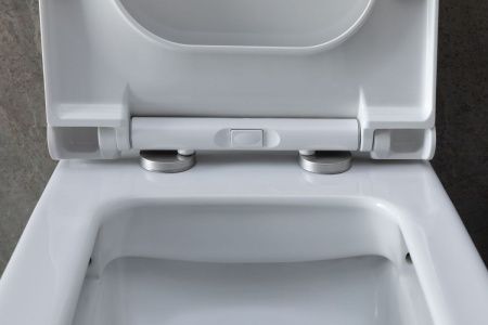 Чаша унитаза напольная Allen Brau Infinity 4.21012.20 цвет белый без бачка с сиденьем микролифт безободковая каскадный смыв