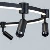 Люстра подвесная Arte Lamp Ring (Ринг) A2186SP-1BK