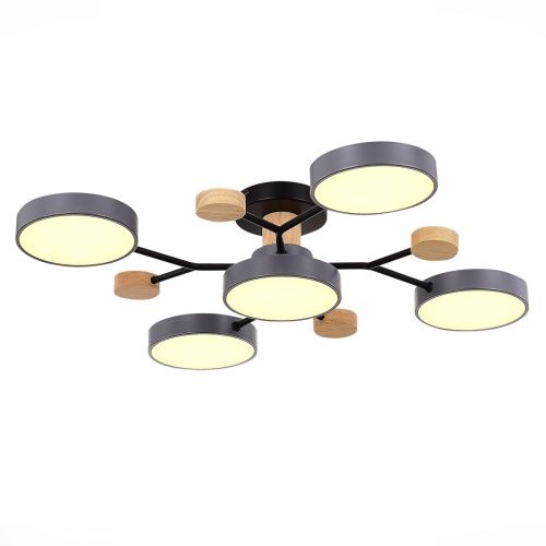 Люстра на штанге Evoluce Faema (Фаема) SLE6006-702-05 - фото 3