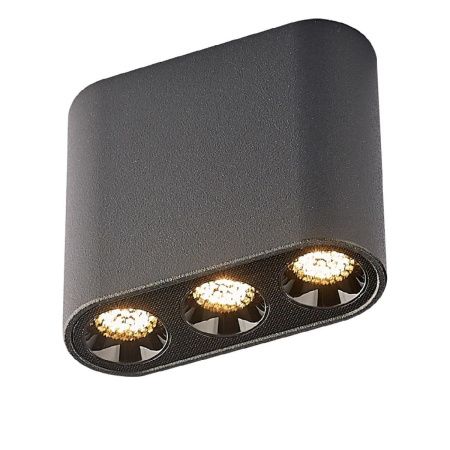 Светильник накладной Odeon Light Small (Смалл) 7092/8CL