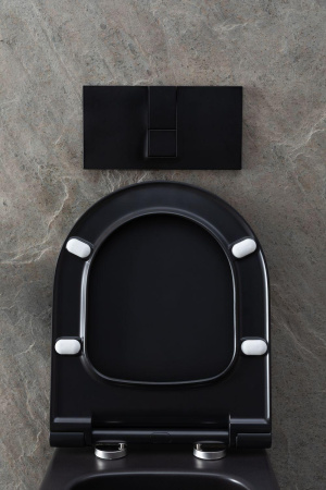 Чаша унитаза подвесная Allen Brau Priority 4.31001.31 цвет черный матовый без сиденья безободковая каскадный смыв