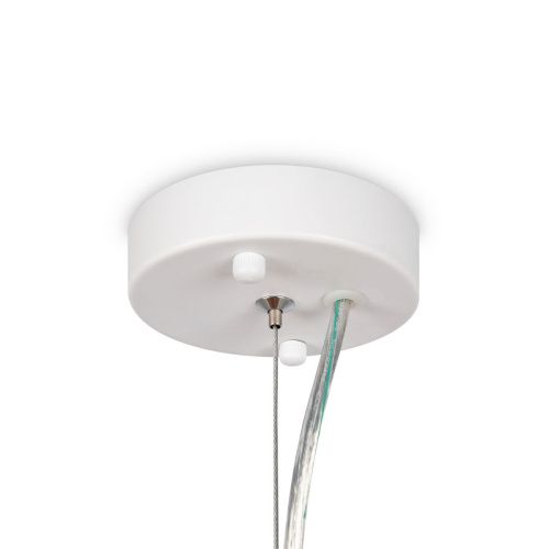 Светильник подвесной Freya Florencia Modern FR5049PL-27W - фото 4