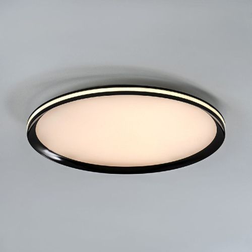 Светильник потолочный LED4U L3020-500 BK - фото 2