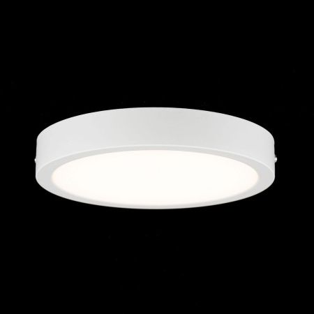 Светильник накладной Citilux Галс CL5522N