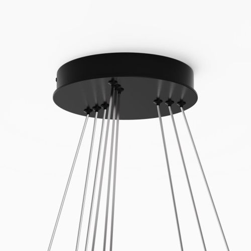 Светильник подвесной Maytoni Rim Modern MOD058PL-L100BK - фото 5