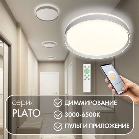 Светильник потолочный Denkirs Plato (Плато) DK6511-WH