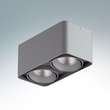 Светильник накладной Lightstar Monocco (Моноццо) 52129