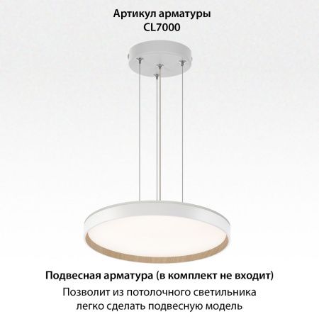 Светильник потолочный музыкальный Citilux Etalon (Еталон) CL750400R