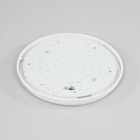 Светильник накладной Citilux Луна CL702161N