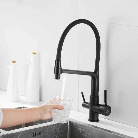 Смеситель для кухни Rose R658H на мойку черный