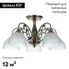 Люстра потолочная Arte Lamp Spica (Спица) A3037PL-5AB