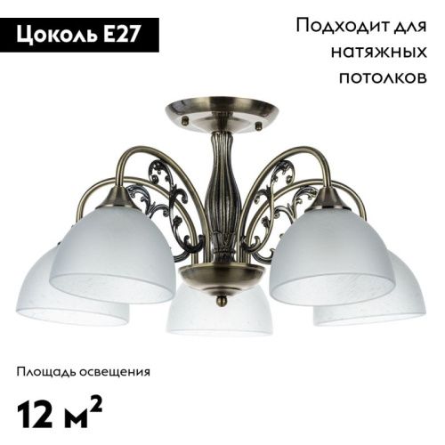 Люстра потолочная Arte Lamp Spica (Спица) A3037PL-5AB - фото 2