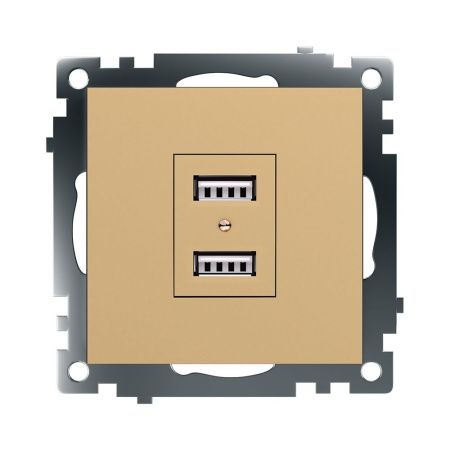 Розетка 2-местная USB Stekker Катрин 49229