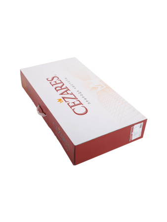 Душевая стойка Cezares RAIN RAIN1-CD-T-GM настенная цвет оружейная сталь с термостатом