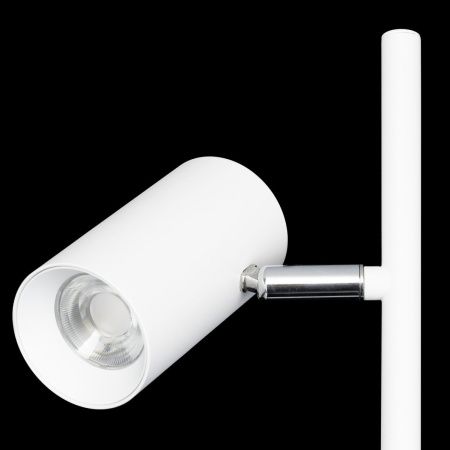 Торшер Citilux Twin (Твин) CL809010N