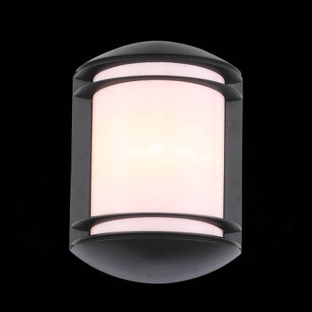 Уличный настенный светильник ST Luce Agio (Агио) SL076.401.01