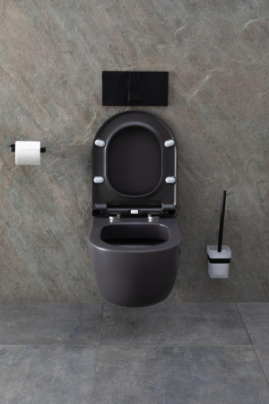 Чаша унитаза подвесная Allen Brau Priority 4.31002.AN цвет черный без сиденья безободковая каскадный смыв