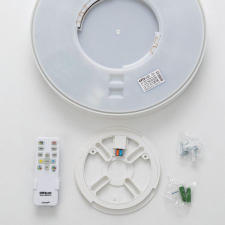 Светильник накладной Citilux Etalon (Еталон) CL750320R